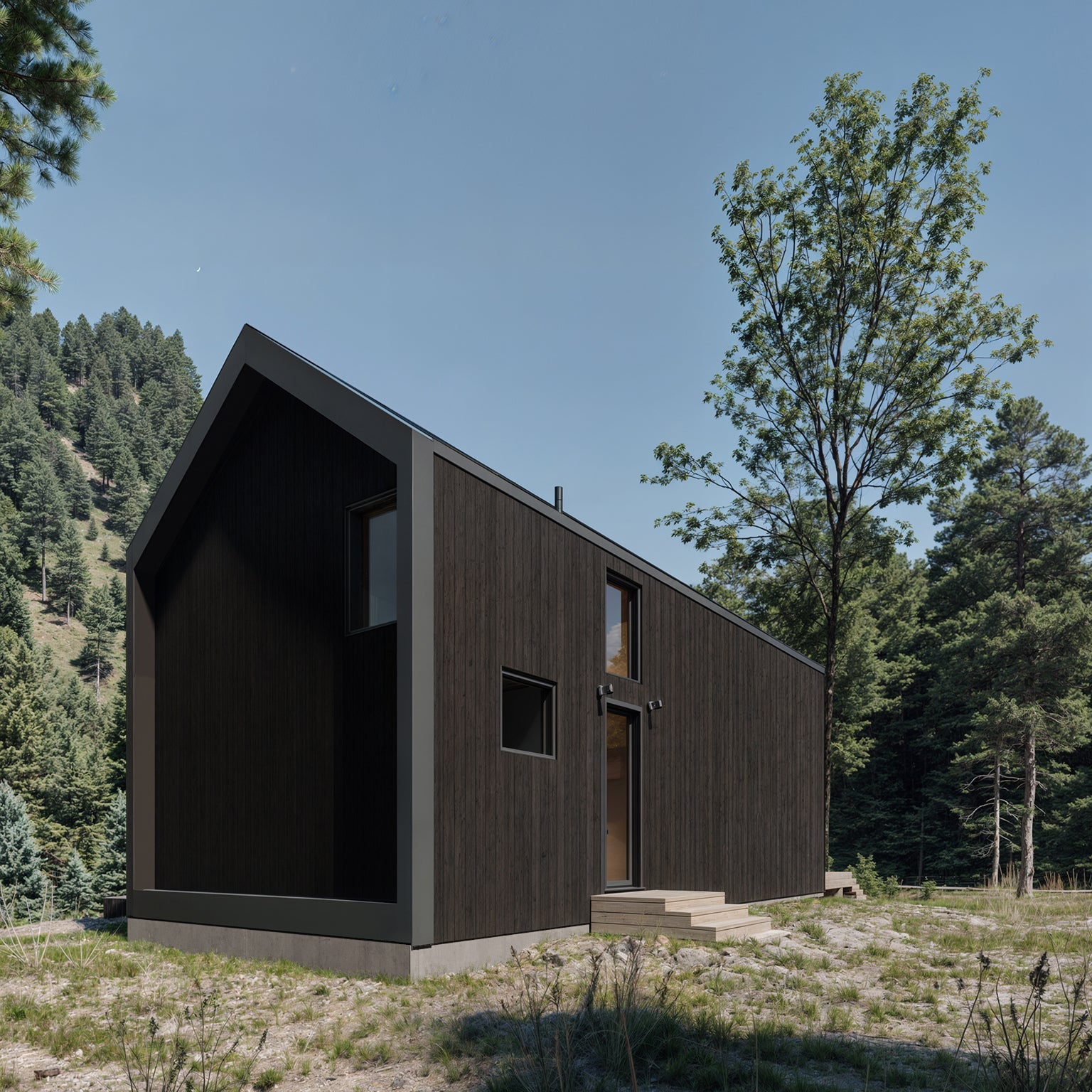 Modern Alpine 2025 - Den